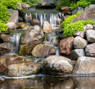 about eden gardens farms koi pond harvard il 1